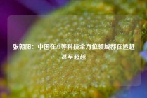 张朝阳：中国在AI等科技全方位领域都在追赶甚至超越