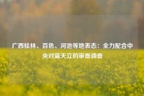广西桂林、百色、河池等地表态：全力配合中央对蓝天立的审查调查