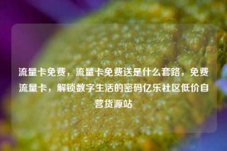 流量卡免费，流量卡免费送是什么套路，免费流量卡，解锁数字生活的密码亿乐社区低价自营货源站