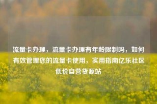 流量卡办理，流量卡办理有年龄限制吗，如何有效管理您的流量卡使用，实用指南亿乐社区低价自营货源站