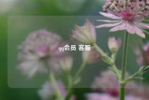 qq会员 客服