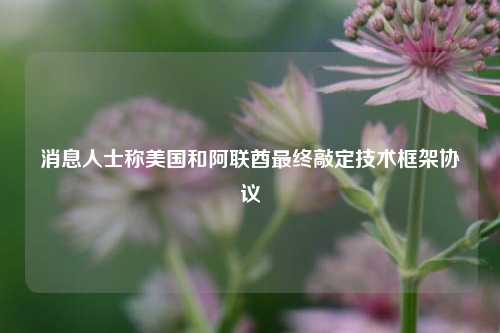 消息人士称美国和阿联酋最终敲定技术框架协议  第1张