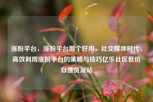 涨粉平台，涨粉平台那个好用，社交媒体时代	，高效利用涨粉平台的策略与技巧亿乐社区低价自营货源站  第1张