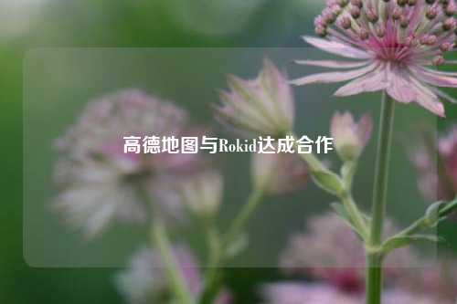 高德地图与Rokid达成合作  第1张