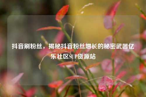 抖音刷粉丝，揭秘抖音粉丝增长的秘密武器亿乐社区SUP货源站  第1张