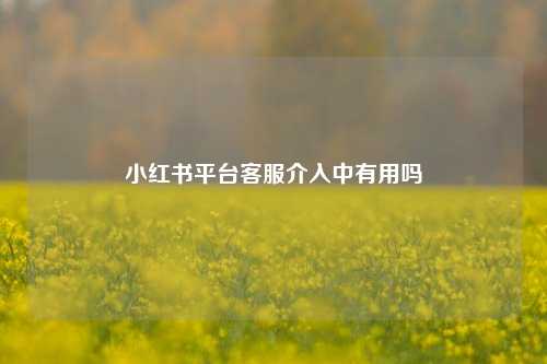 小红书平台客服介入中有用吗  第1张