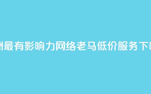 亚洲最有影响力网络老马低价服务 第1张 亚洲最有影响力网络老马低价服务 第1张
