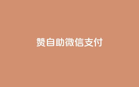 Ks赞自助微信支付,K歌免费涨1000粉丝 - 全网最低价业务平台快手业务 抖音涨粉有哪些app  第1张