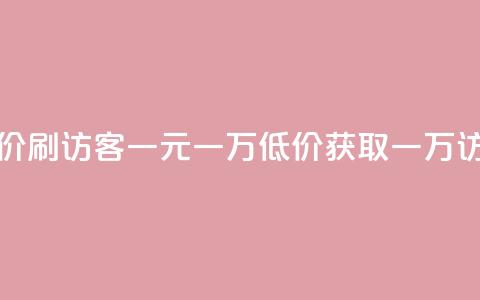 低价刷访客一元一万(低价获取一万访客) 第1张 低价刷访客一元一万(低价获取一万访客) 第1张
