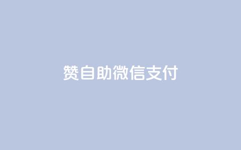 Ks赞自助微信支付,抖音点赞秒到账 - ks一元1000个赞秒到软件 ks免费业务网址  第1张