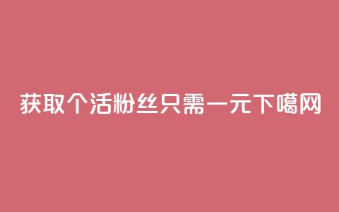 获取1000个活粉丝只需一元 第1张 获取1000个活粉丝只需一元 第1张