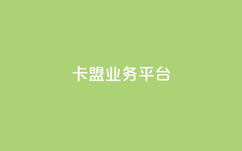 卡盟qq业务平台 - 卡盟QQ业务平台SEO优化标题重新构思!  第1张