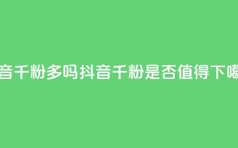 抖音千粉多吗(抖音千粉是否值得2021) 第1张 抖音千粉多吗(抖音千粉是否值得2021) 第1张