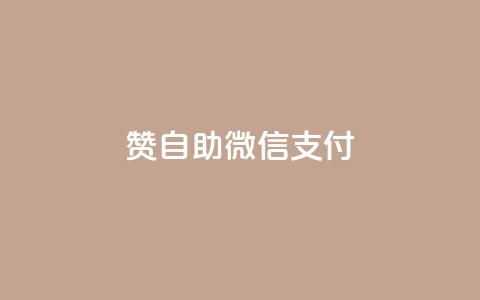 Ks赞自助微信支付 - 使用微信支付的Ks赞自助服务，简单方便！~  第1张