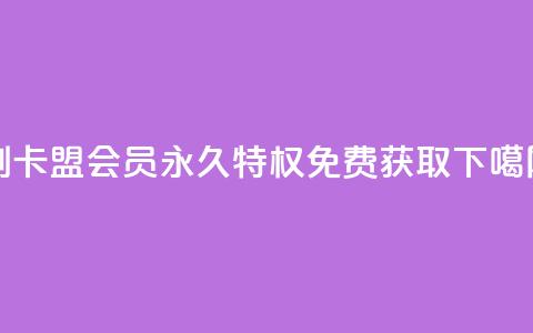 刷卡盟QQ会员永久特权 - 免费获取 第1张 刷卡盟QQ会员永久特权 - 免费获取 第1张