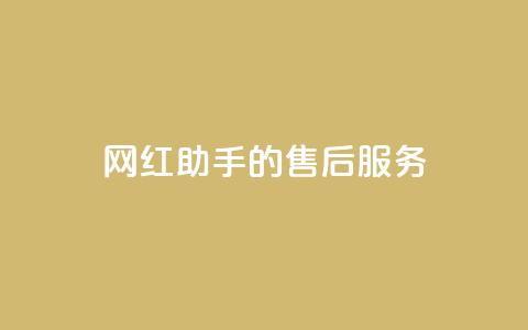 网红助手的售后服务,dy关注点赞任务 - 播放量24小时在线下单 聚梦卡盟  第1张