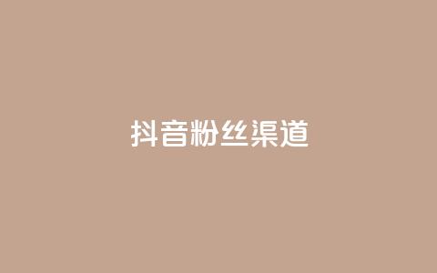 抖音粉丝渠道 - 抖音粉丝获取的途径有哪些？~  第1张