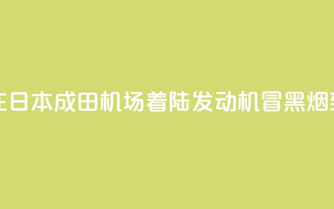 新航波音客机在日本成田机场着陆 发动机冒黑烟致跑道一度关闭  第1张