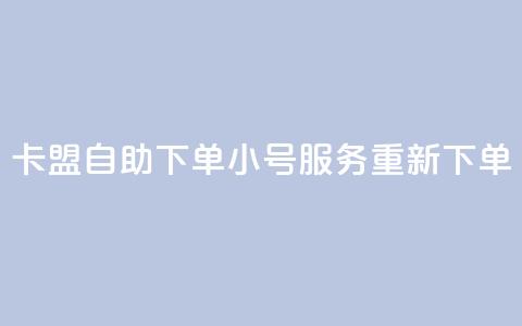 卡盟自助下单小号服务重新下单 第1张 卡盟自助下单小号服务重新下单 第1张