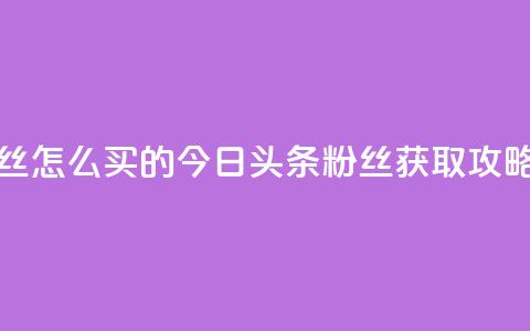 今日头条粉丝怎么买的 - 今日头条粉丝获取攻略分享! 第1张 今日头条粉丝怎么买的 - 今日头条粉丝获取攻略分享! 第1张