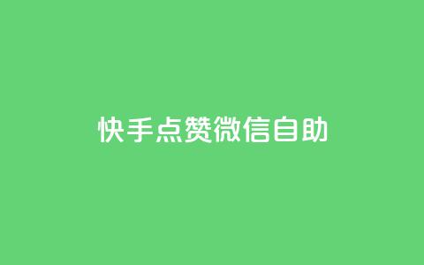 快手点赞微信自助 - 快手点赞与微信自助操作全指南！  第1张