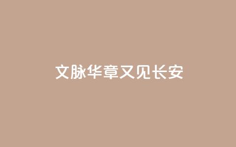 文脉华章|又见长安 第1张 文脉华章|又见长安 第1张
