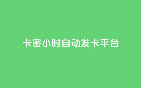 卡密24小时自动发卡平台 - 24小时自动发卡平台优化您的卡密交易体验!  第1张