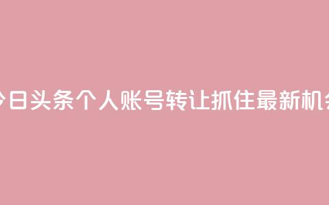 今日头条个人账号转让:抓住最新机会 第1张 今日头条个人账号转让:抓住最新机会 第1张