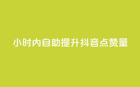 24小时内自助提升抖音点赞量 第1张 24小时内自助提升抖音点赞量 第1张