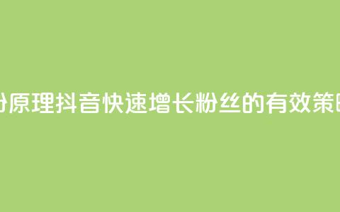 抖音快速吸粉原理 - 抖音快速增长粉丝的有效策略揭秘！  第1张