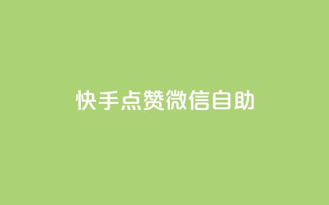 快手点赞微信自助 - 快手点赞与微信自助操作全指南！  第1张