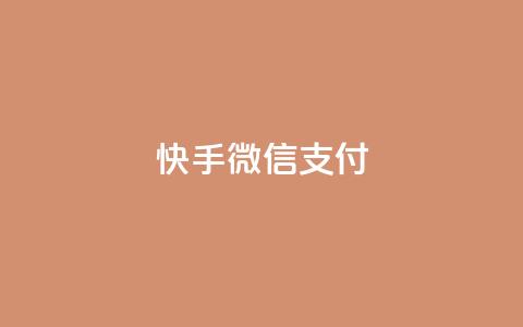 快手微信支付 - 24小时下单超便宜  第1张