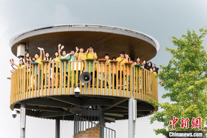 华裔青少年浙江瑞安文化寻根 感受千年古城魅力  第2张