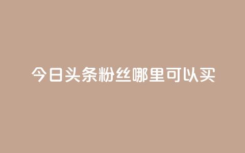 今日头条粉丝哪里可以买 - 在哪里可以购买今日头条粉丝？!  第1张