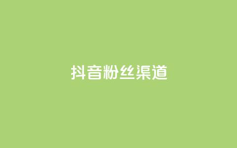 抖音粉丝渠道 - 如何通过抖音提高粉丝获取渠道的效果! 第1张 抖音粉丝渠道 - 如何通过抖音提高粉丝获取渠道的效果! 第1张