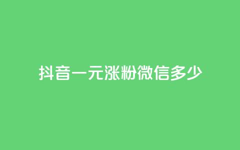 抖音一元涨粉1000微信多少 - 千叶卡盟  第1张