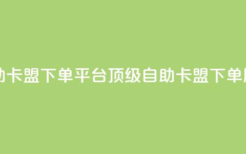 自助卡盟下单平台：顶级自助卡盟下单服务  第1张