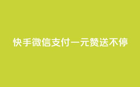 快手微信支付:一元赞送不停 第1张 快手微信支付:一元赞送不停 第1张