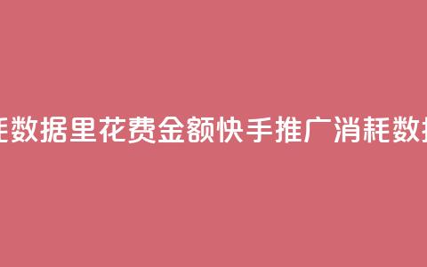 快手推广消耗数据里花费金额(快手推广消耗数据详解) 第1张 快手推广消耗数据里花费金额(快手推广消耗数据详解) 第1张
