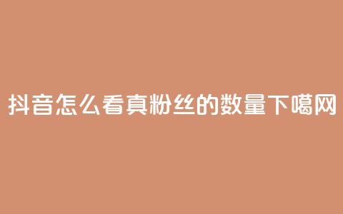 抖音怎么看真粉丝的数量 第1张 抖音怎么看真粉丝的数量 第1张