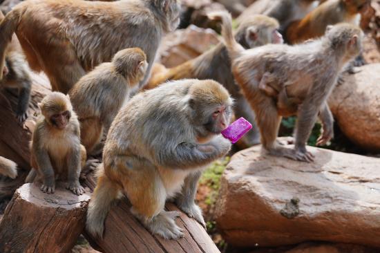 暑运期间高铁列车长的工作日常  第10张