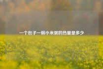 一个包子一碗小米粥的热量是多少