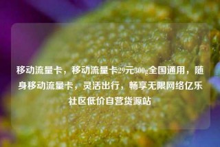 移动流量卡，移动流量卡29元300g全国通用，随身移动流量卡，灵活出行，畅享无限网络亿乐社区低价自营货源站