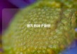 哪儿的袜子最好