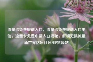 流量卡免费申请入口，流量卡免费申请入口电信，流量卡免费申请入口揭秘，解锁无限流量新世界亿乐社区SUP货源站