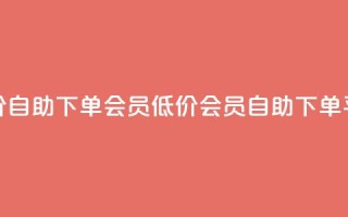 卡盟低价自助下单会员(低价会员自助下单平台优惠)