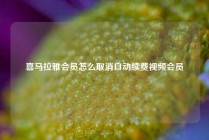 喜马拉雅会员怎么取消自动续费视频会员