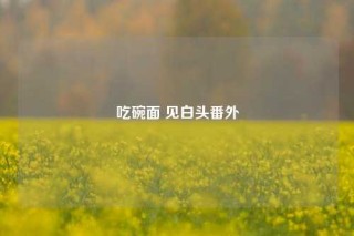 吃碗面 见白头番外