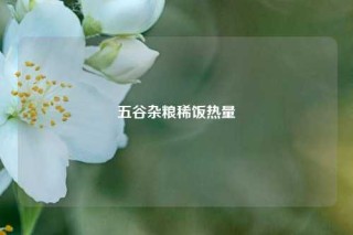 五谷杂粮稀饭热量