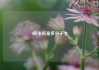 1碗米饭是多少千卡
